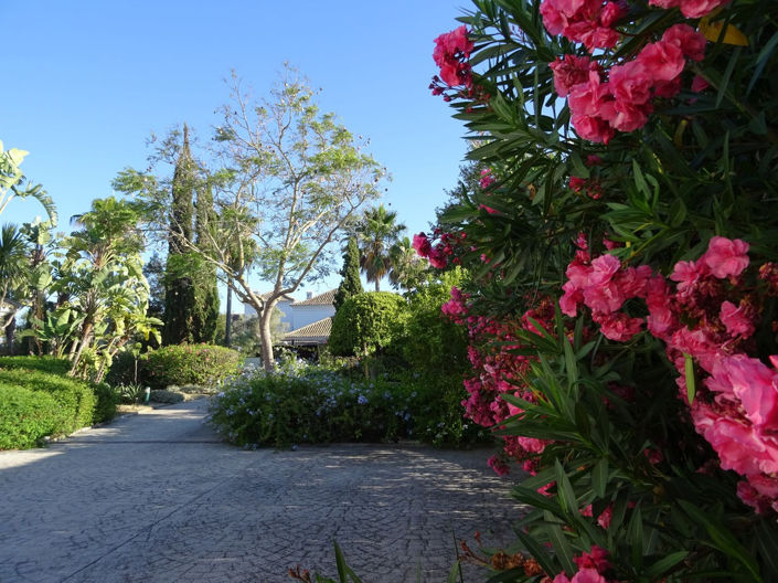 Image No.17-4 Bed Villa for sale