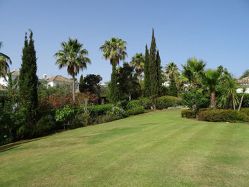 r49671138image