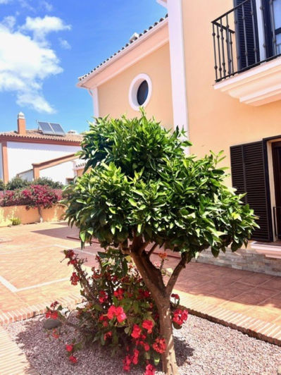 Image No.35-Villa de 5 chambres à vendre à Guadalmina