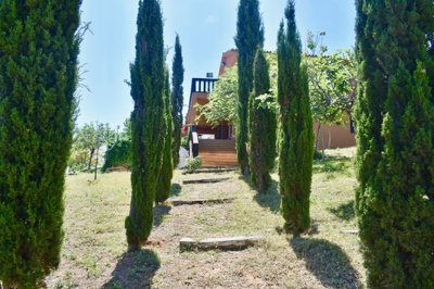 6-241328e1bcc9c0d8ce1222beb6c967a8