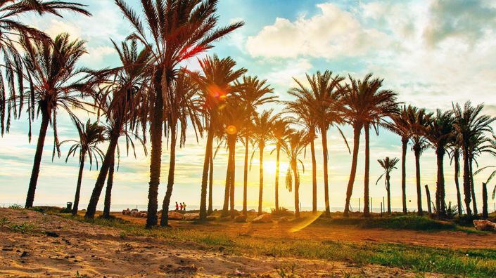 Image No.43-Penthouse de 3 chambres à vendre à Orihuela Costa