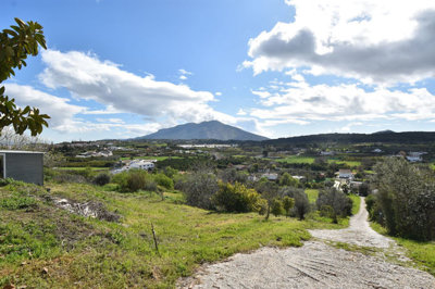 1-7980e48d732b6fc85c14b43b94d2aa54