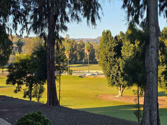 Image No.40-3 Bed House for sale