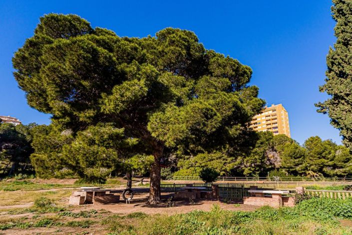 Image No.24-4 Bed Duplex for sale