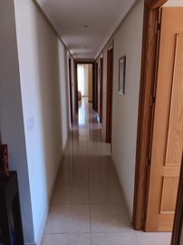 mlsc9950765-image-9