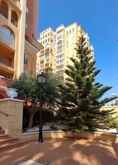 Image No.22-Appartement de 3 chambres à vendre à Torrevieja