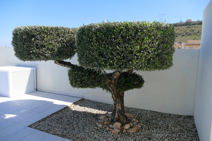 Image No.29-4 Bed Villa for sale