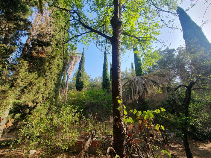 Image No.19-9 Bed Villa for sale