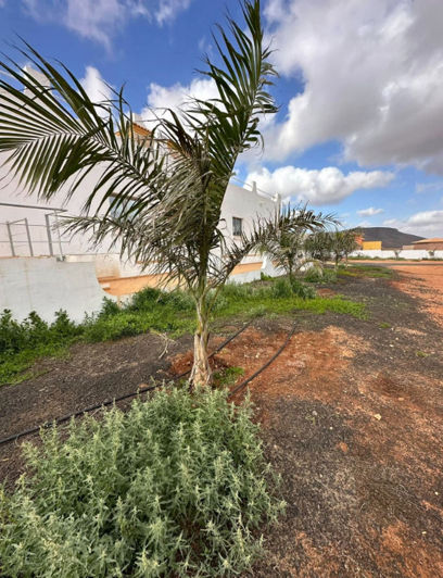 Image No.36-5 Bed House for sale