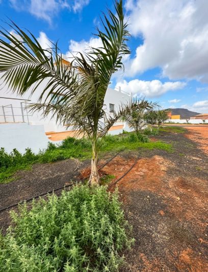 Image No.36-5 Bed Villa for sale