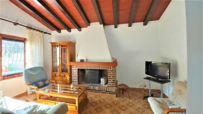 c04c482d-bcd4266-comedor