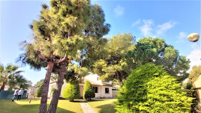 Image No.4-Villa de 4 chambres à vendre à Torrevieja