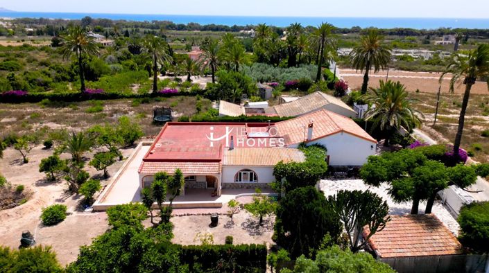 Image No.3-Finca de 5 chambres à vendre à Elche