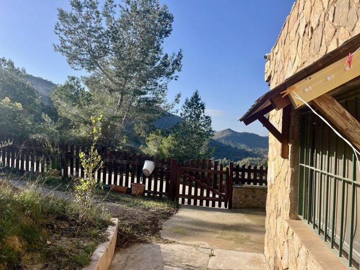 Image No.33-3 Bed Finca for sale