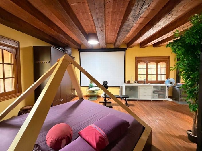 Image No.33-3 Bed Finca for sale