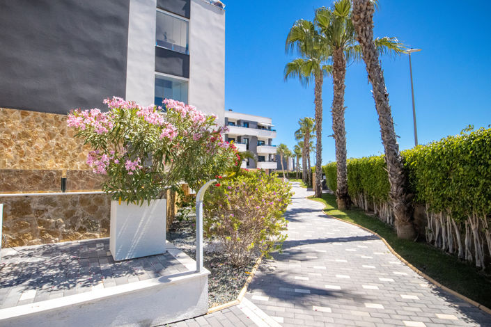 Image No.17-Propriété de 3 chambres à vendre à Torrevieja