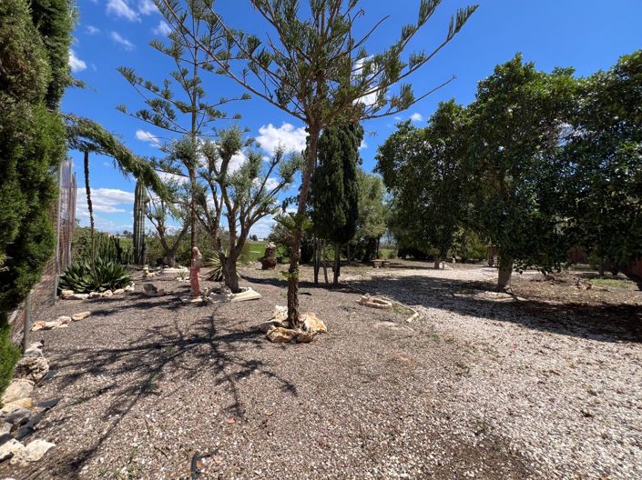 Image No.31-4 Bed Finca for sale