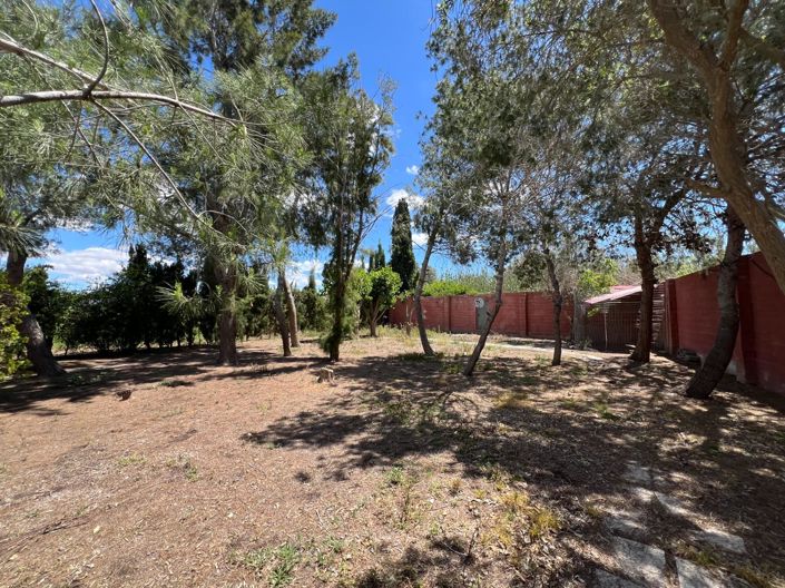 Image No.34-4 Bed Finca for sale