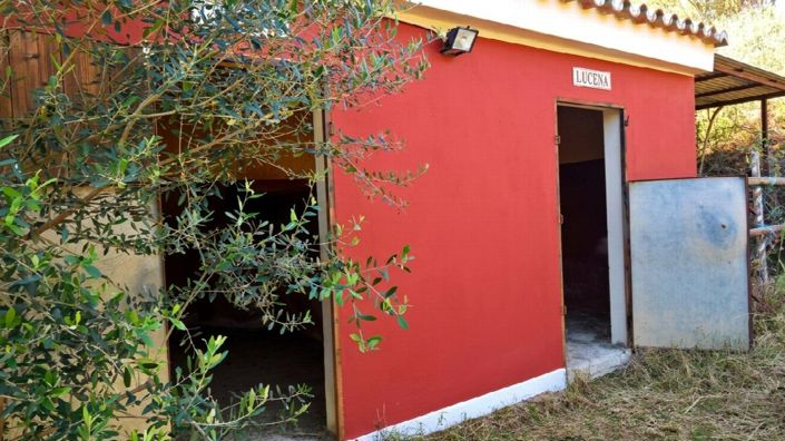 Image No.41-4 Bed Villa for sale