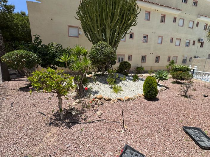 Image No.2-Bungalow de 3 chambres à vendre à Torrevieja