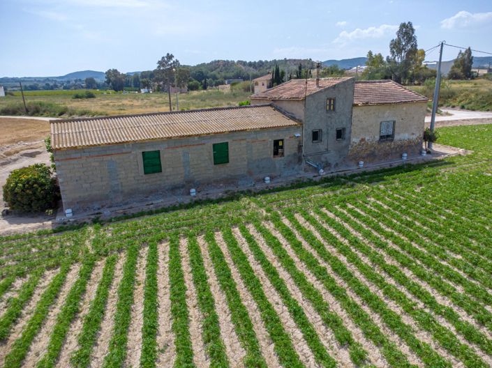 Image No.18-3 Bed Finca for sale