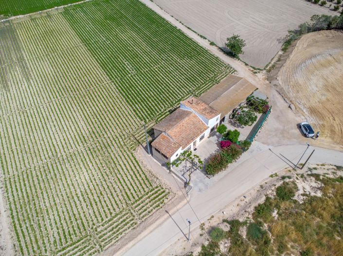 Image No.39-3 Bed Finca for sale