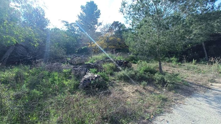 Image No.34-3 Bed Finca for sale