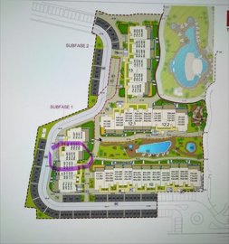 mlsc6434727-image-1