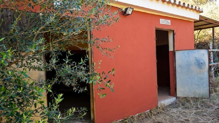 Image No.41-4 Bed Villa for sale
