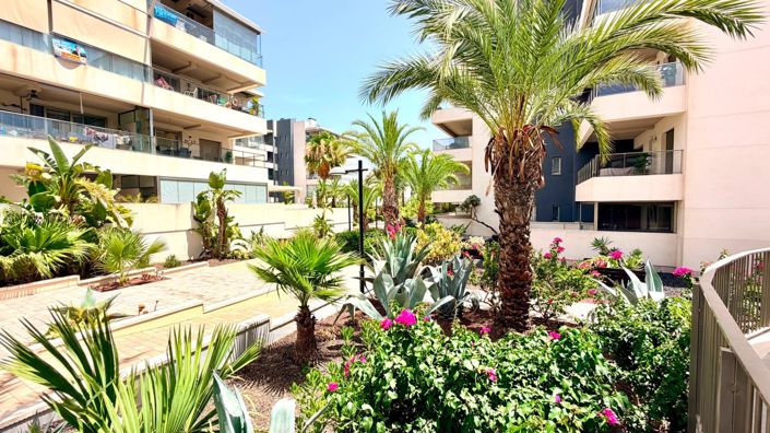 Image No.21-Appartement de 2 chambres à vendre à Orihuela Costa