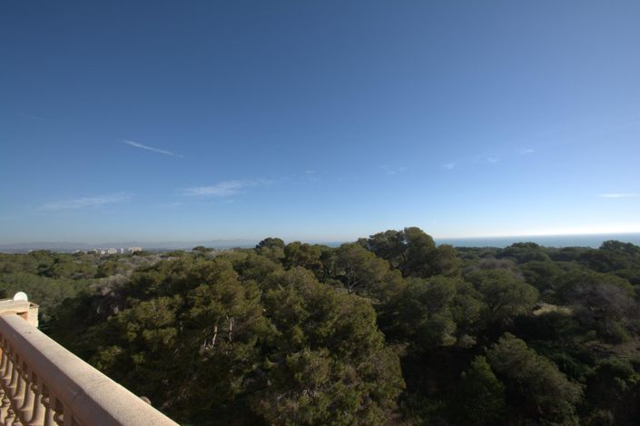 Image No.15-Appartement de 3 chambres à vendre à Guardamar del Segura