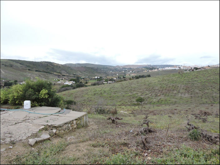 Image No.10-2 Bed Finca for sale