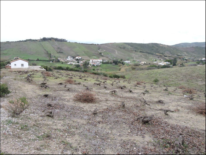 Image No.4-2 Bed Finca for sale