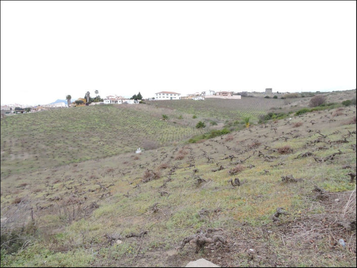 Image No.5-2 Bed Finca for sale