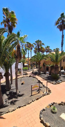 Image No.36-Appartement de 1 chambre à vendre à Corralejo
