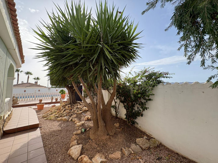 Image No.10-3 Bed Villa for sale