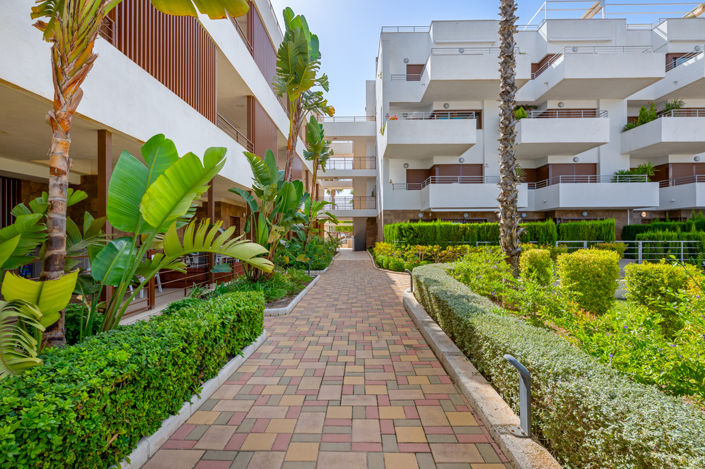 Image No.30-Appartement de 2 chambres à vendre à Cabo Roig