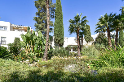 r5482276-image-11