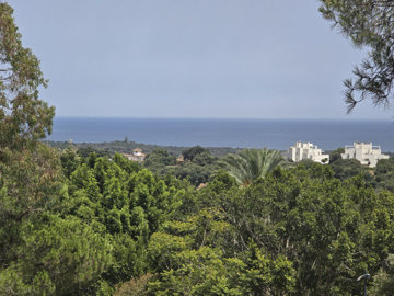 r5487631-image-13