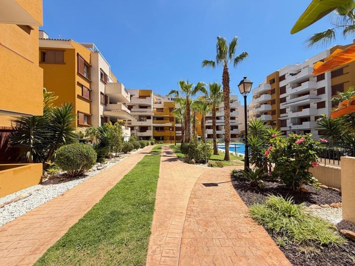 Image No.49-Appartement de 3 chambres à vendre à Torrevieja