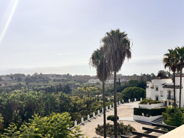 mlsc9287449-image