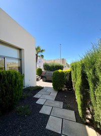 mlsc975813-image-5
