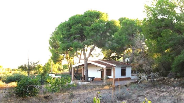 Image No.2-1 Bed Finca for sale