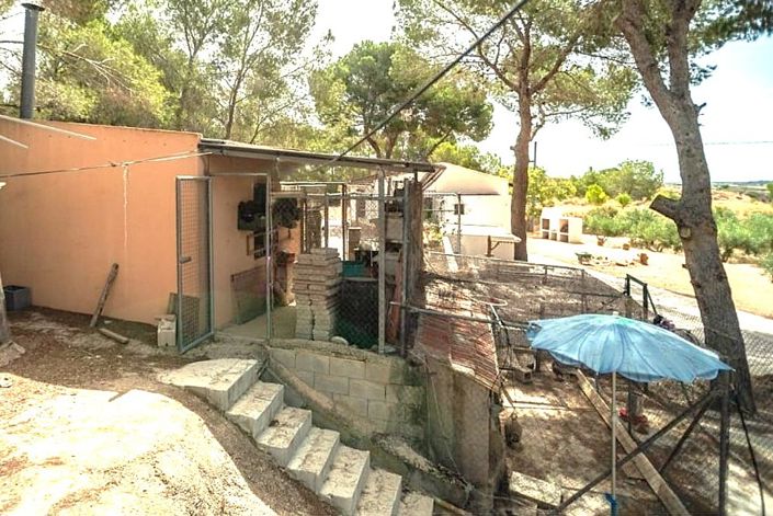 Image No.21-1 Bed Finca for sale