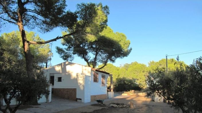 Image No.3-1 Bed Finca for sale