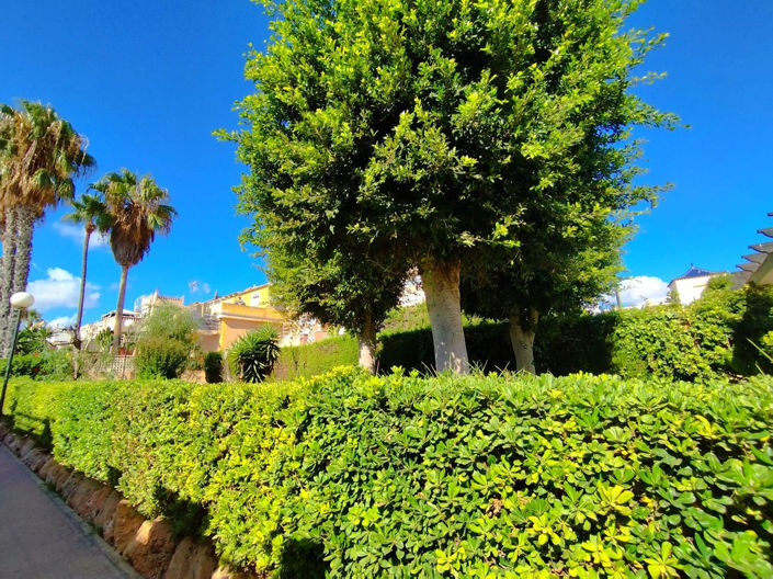 Image No.31-3 Bed House for sale