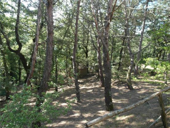 Image No.13-Maison de 4 chambres à vendre à Anghiari