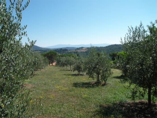 Image No.7-3 Bed Farmhouse for sale