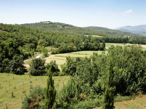 Image No.19-Ferme de 10 chambres à vendre à Anghiari
