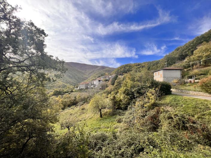 Image No.16-Maison de 2 chambres à vendre à Caprese Michelangelo